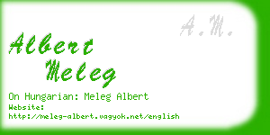 albert meleg business card